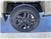 2023 Chevrolet Silverado 1500 Custom Trail Boss (Stk: 11418) in Wakefield - Image 10 of 21