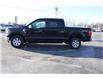 2023 Ford F-150 XLT (Stk: FS13687A) in Windsor - Image 3 of 21