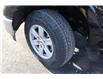 2023 Ford F-150 XLT (Stk: FS13687A) in Windsor - Image 6 of 21