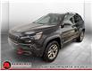 2020 Jeep Cherokee Trailhawk (Stk: 43017A) in La Sarre - Image 1 of 21