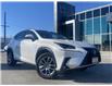 2019 Lexus NX 300  (Stk: UM3064) in Chatham - Image 1 of 25