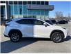2019 Lexus NX 300  (Stk: UM3064) in Chatham - Image 4 of 25