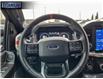 2022 Ford F-150 Raptor (Stk: B44918) in Langley Twp - Image 12 of 25