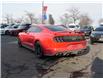 2019 Ford Mustang  (Stk: P3061A) in Mississauga - Image 4 of 25