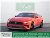 2019 Ford Mustang  (Stk: P3061A) in Mississauga - Image 1 of 25