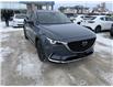 2023 Mazda CX-9 Kuro Edition (Stk: M23072) in Steinbach - Image 7 of 19