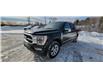 2022 Ford F-150 Platinum (Stk: F453) in Miramichi - Image 1 of 14