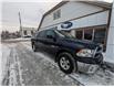 2017 RAM 1500 ST (Stk: 7710) in Golden - Image 9 of 12