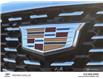 2023 Cadillac XT5 Luxury (Stk: 230299) in Windsor - Image 12 of 31