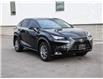 2019 Lexus NX 300 Base (Stk: P0111) in Tecumseh - Image 3 of 27