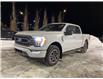 2023 Ford F-150 XLT (Stk: PLT003) in Fort Saskatchewan - Image 1 of 18