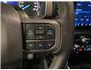 2023 Ford F-150 XLT (Stk: PLT006) in Fort Saskatchewan - Image 11 of 18