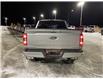 2023 Ford F-150 XLT (Stk: PLT017) in Fort Saskatchewan - Image 3 of 18