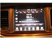 2017 Dodge Charger SXT (Stk: 653186) in Stony Plain - Image 13 of 26