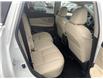 2023 Nissan Murano SL (Stk: 23MR8750) in Cranbrook - Image 5 of 11