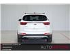 2019 Kia Sportage SX Turbo (Stk: TT1666) in Chatham - Image 4 of 23