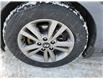 2017 Hyundai Elantra GLS in Sunny Corner - Image 7 of 18