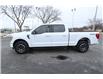 2023 Ford F-150 XLT (Stk: FS67696) in Windsor - Image 4 of 25
