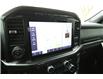 2023 Ford F-150 XLT (Stk: FS67696) in Windsor - Image 22 of 25