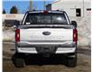 2023 Ford F-150 XLT (Stk: T230013) in Dawson Creek - Image 6 of 18