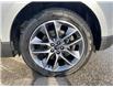 2016 Ford Edge Titanium (Stk: Z90552) in Watford - Image 3 of 18