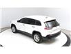 2021 Jeep Cherokee Sport (Stk: ML1125A) in Lethbridge - Image 11 of 37