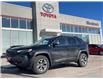 2019 Jeep Cherokee Trailhawk (Stk: 353401A) in Woodstock - Image 2 of 21