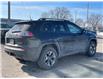2019 Jeep Cherokee Trailhawk (Stk: 353401A) in Woodstock - Image 5 of 21