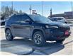 2019 Jeep Cherokee Trailhawk (Stk: 353401A) in Woodstock - Image 6 of 21