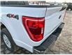 2023 Ford F-150 XLT (Stk: T3065) in St. Thomas - Image 11 of 25