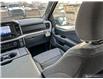 2023 Ford F-150 XLT (Stk: T3065) in St. Thomas - Image 25 of 25