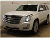 2018 Cadillac Escalade Platinum (Stk: 223610A) in Yorkton - Image 4 of 46