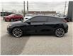 2019 Hyundai Veloster  (Stk: UM3074) in Chatham - Image 9 of 24