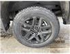 2023 Chevrolet Silverado 1500 LT Trail Boss (Stk: 11436) in Wakefield - Image 8 of 23
