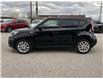 2019 Kia Soul  (Stk: UM3073) in Chatham - Image 9 of 24