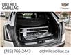 2023 Cadillac XT5 Sport (Stk: 115828U) in Toronto - Image 13 of 32