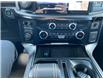 2023 Ford F-150 Platinum (Stk: LT3020) in Nisku - Image 23 of 25