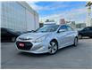2014 Hyundai Sonata Hybrid Limited (Stk: HP5576) in Toronto - Image 1 of 27