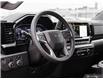 2023 Chevrolet Silverado 1500 LT Trail Boss (Stk: 161008) in London - Image 13 of 28