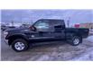 2016 Ford F-250 XLT (Stk: 22856) in Sudbury - Image 5 of 24