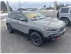2019 Jeep Cherokee Trailhawk (Stk: 22134b) in Oak Bay - Image 3 of 12
