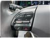 2019 Hyundai Ioniq EV Ultimate (Stk: HD3-6199A) in Chilliwack - Image 22 of 28