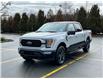 2023 Ford F-150 XLT (Stk: 23F12439) in Vancouver - Image 8 of 30