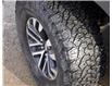 2019 Ford F-150 Raptor (Stk: PW2408) in Dawson Creek - Image 3 of 23