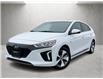 2019 Hyundai Ioniq EV Ultimate (Stk: HD3-6199A) in Chilliwack - Image 1 of 28