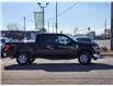 2023 Ford F-150 XLT (Stk: 23F0273) in Mississauga - Image 4 of 30