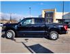 2023 Ford F-150 XLT (Stk: 23F0273) in Mississauga - Image 8 of 30