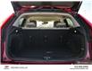 2020 Cadillac XT4 Luxury (Stk: TR18503) in Windsor - Image 14 of 31