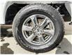 2020 Ford F-150 XLT (Stk: 23P016) in Kamloops - Image 6 of 26