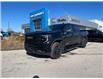 2023 GMC Sierra 1500 Elevation (Stk: 77175) in St. Thomas - Image 3 of 24